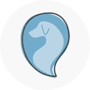 Amore Clinica Veterinaria